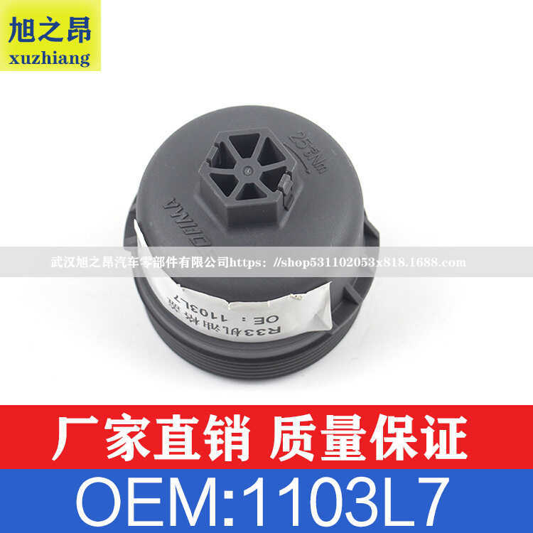 ใช้ได้กับเปอโยต์ Citroen207301307ฝาครอบกรอง C2C3 ฝาครอบกริด OE1103L7/1103P8