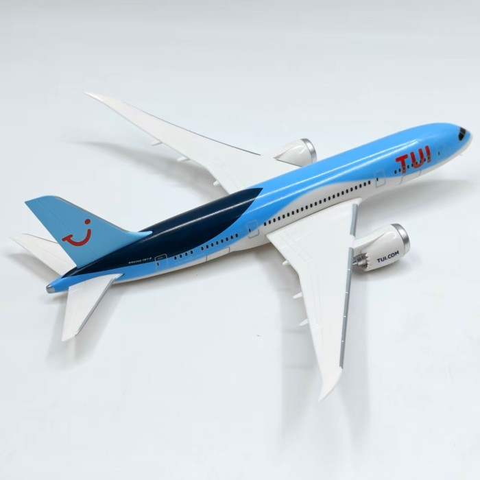 1: 250ตุย น่าเบื่อ787-8เย็บจําลองเครื่องบินรุ่นเครื่องบินคอลเลกชันแบบคงที่เครื่องบินสํานักงานตกแต่งออกจากรุ่นพิมพ์รุ่น ถูก จํากัด การแก้ไข รุ่นออกจากรถพิมพ ราคา ถูกที่สุด ดีลบีเคเค แกลเลอรีภาพที่ 4