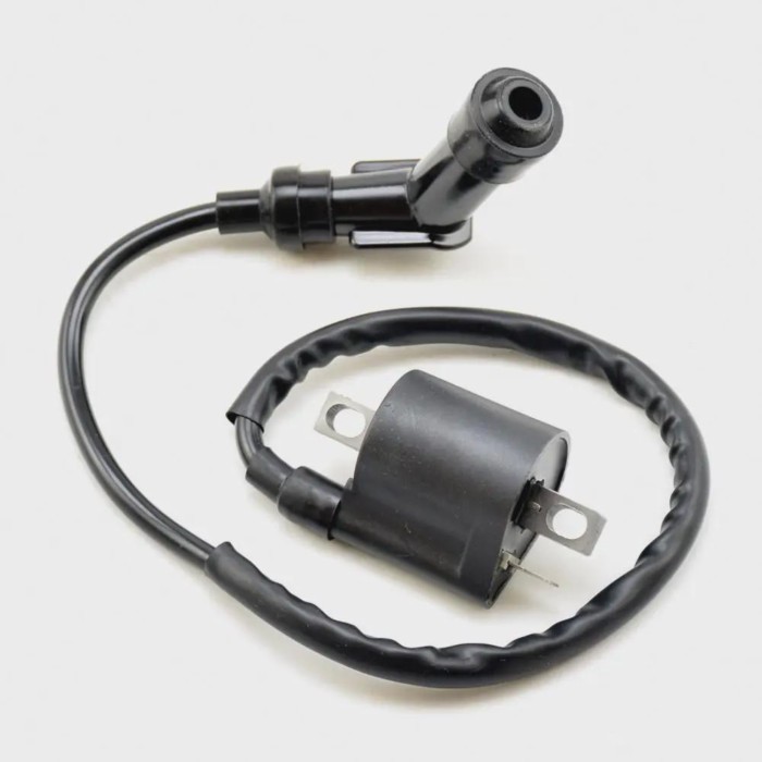 YAMAHA Ignition coil For TTR90 TTR110 TTR125/TTR125E/TTR125L/PW80/BW80 TTR125LE DIRT PRO Pit BIKE