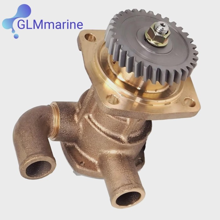 129670-42513 129670-42500 129670-42501 129670-42510 Sea Water Pump for Yanmar Marine 4JH3 3JH3E Eng