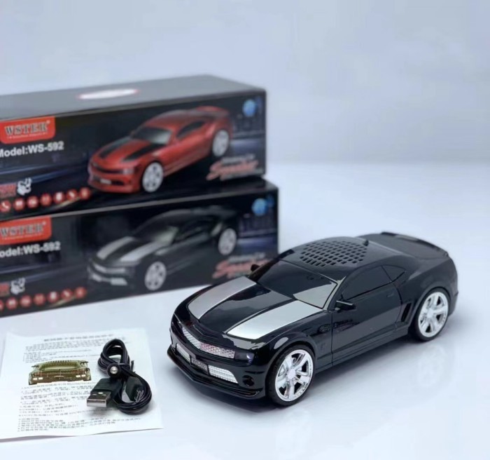 WSTER WS-592 Factory Directly Sale Low Price Car Model Speakers Bt Wireless Car Truck Speaker With