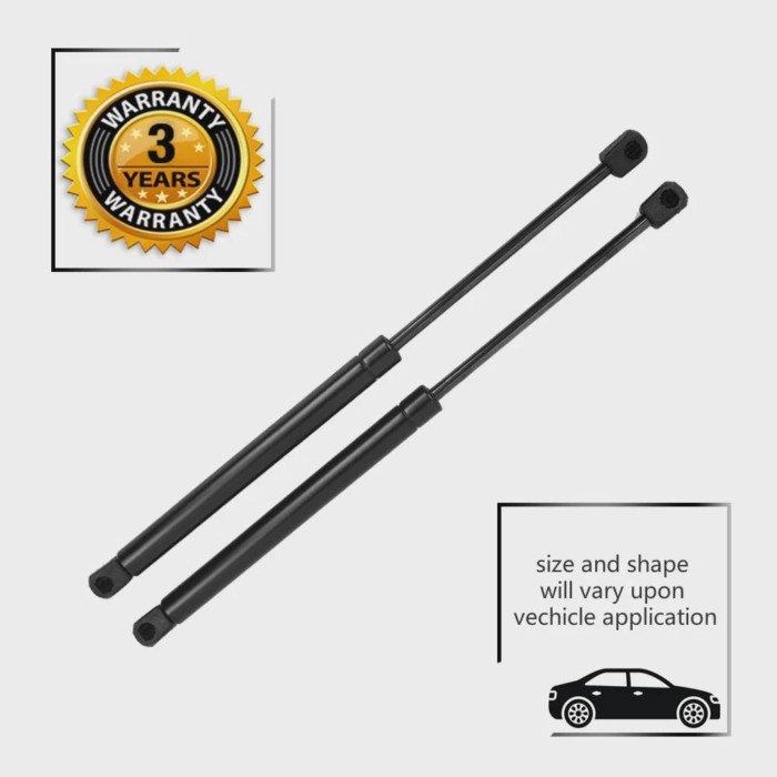 2x Hood Lift Supports Shock Struts for Lexus ISF IS250 IS300 IS350 PM1050