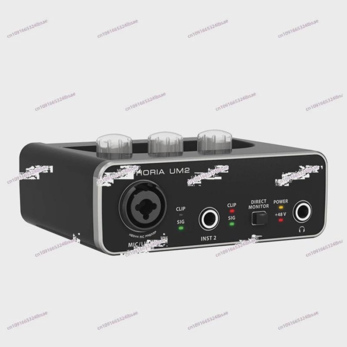 UM2 Guitar Recording External USB Sound Card Special Audio Interface For Internet Celebrity Live Br