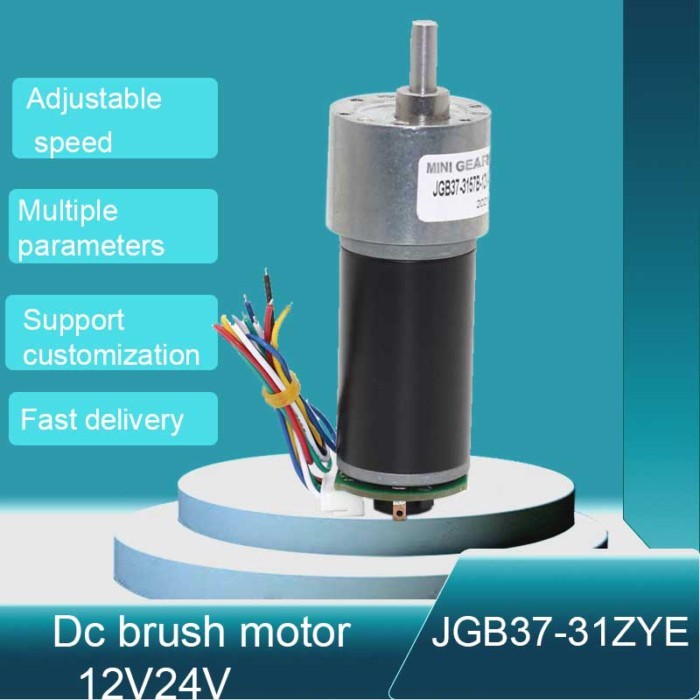 High Torque DC Gear Motor with Encoder 12V/24V Reversible Micro Gearbox JGB37-31ZY Robotics RC Cars
