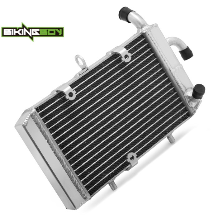 BIKINGBOY For Yamaha X-MAX 125 18-20 X-MAX 300 18-23 X-MAX 250 19 TRICITY 300 20 21 22 23 Engine Co