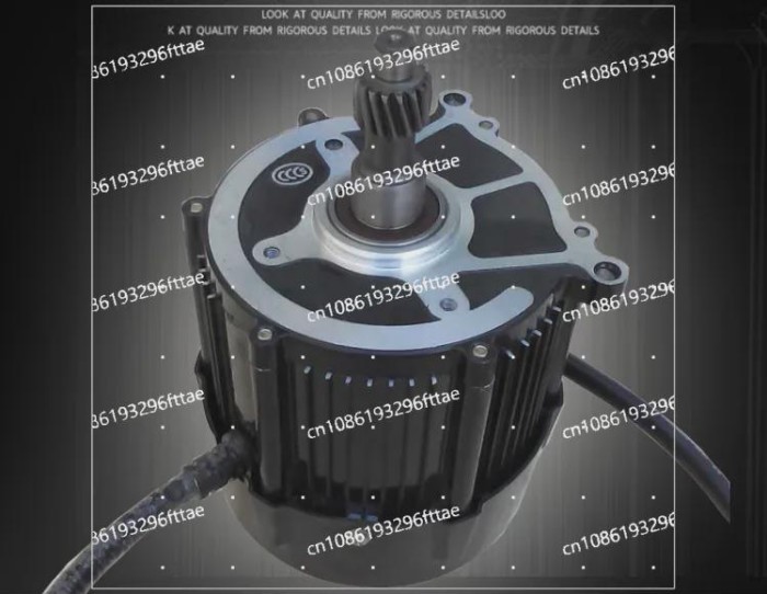 48V 60V 800W 1000W 1200W , DC Motor for Electric Vehicle