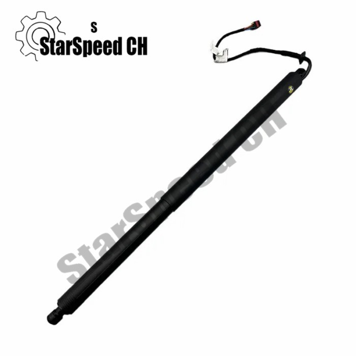 Brand New 905605NN0A Power Liftgate Electric Tailgate Strut for Infiniti QX50 19-20 Left Right Gene