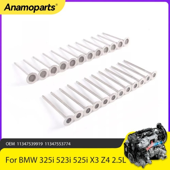 Engine Parts Intake Exhaust Valve Fit 2.5 L Gas For BMW 325i 523i 525i X3 Z4 N52 B25 E89 E90 2.5L l