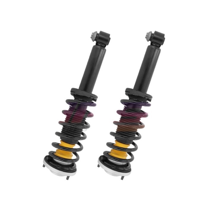 2x Rear Shock Absorber Strut Assys Fit BMW F12 F13 640i 640d 650i 33526789616