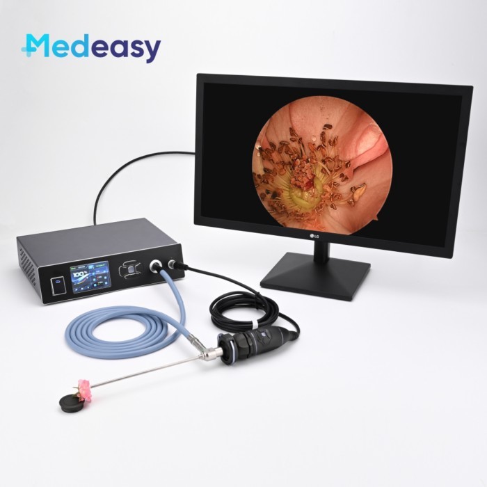 2 In 1 Medical Full HD 1080P Endoscope Camera with LED Cold Light Source and Touch Screen for Endos