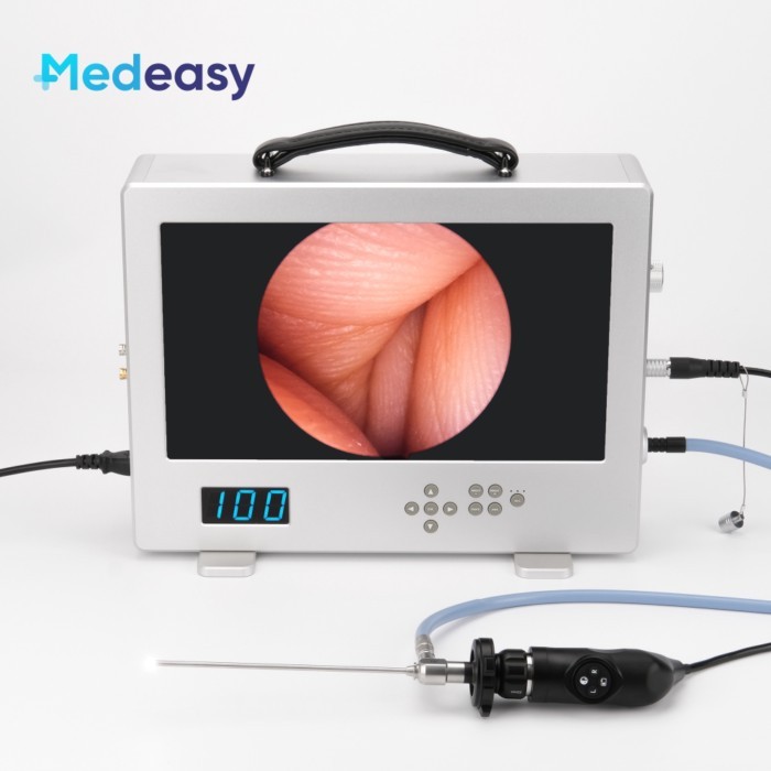 Medical Full HD 1080P Endoscope Camera System with 15.6 Inch Monitor and 80W Light Source for Endos