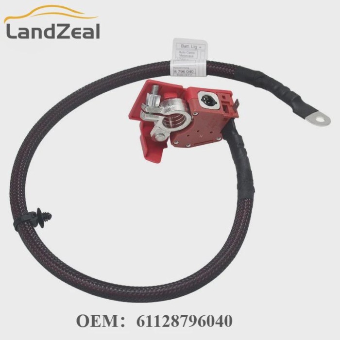 OEM 61128796040 8796040 Positive Battery Fuse Cable Automotive Parts for BMW X5 G05 X7 G07 Hybrids