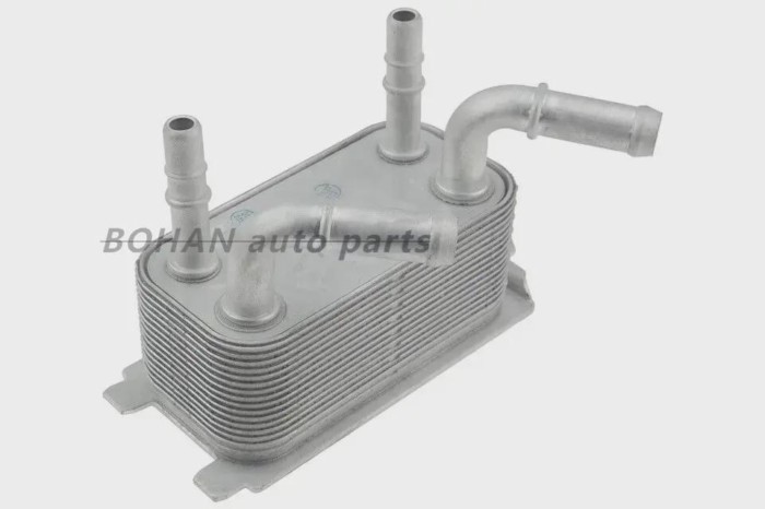DG92-7A095-AD DG93-7A095-BB DG9Z-7A095-A DG927A095AD DG937A095BB DG9Z7A095A Oil Cooler Radiator Oil