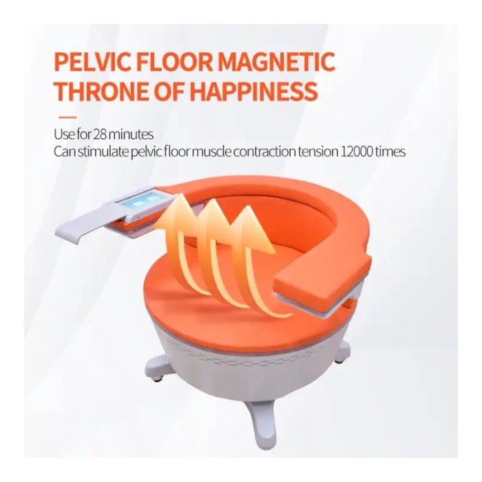 EMS Postpartum Pelvic Floor Muscle Trainer Urinary Incontinence Prostate Treatment Butt Lift Massag