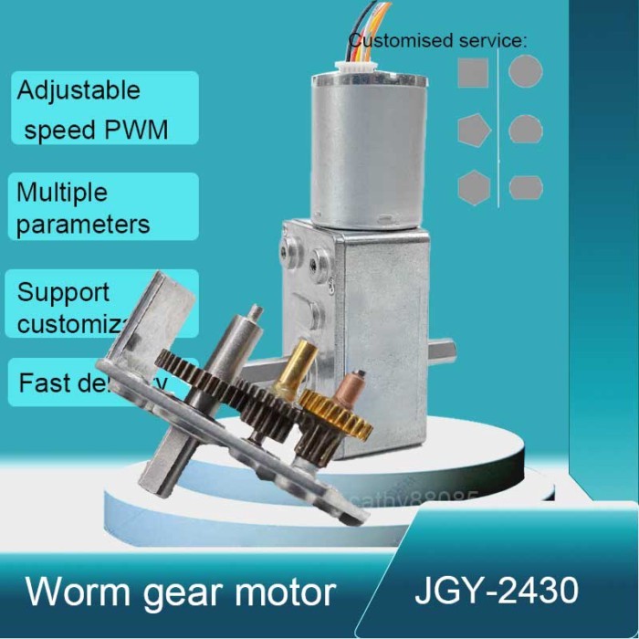 GY-2430 BLDC Motor 12V/24V High Torque Brushless DC Motor Right Angle Worm Gearbox Dual Shaft PWM S