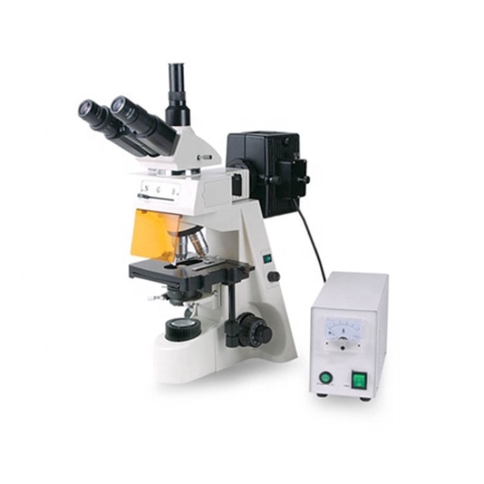 XYL-146YA/146YAT Microscope With High Quality