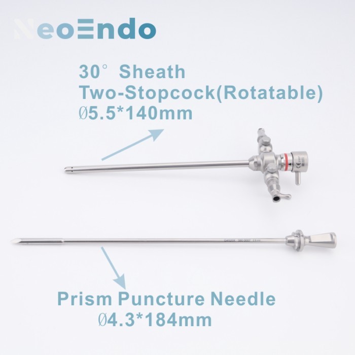 Rigid 4mm Arthroscope Arthroscopic Instruments Rigid Arthroscopy And Working Sheath Set For Joint E