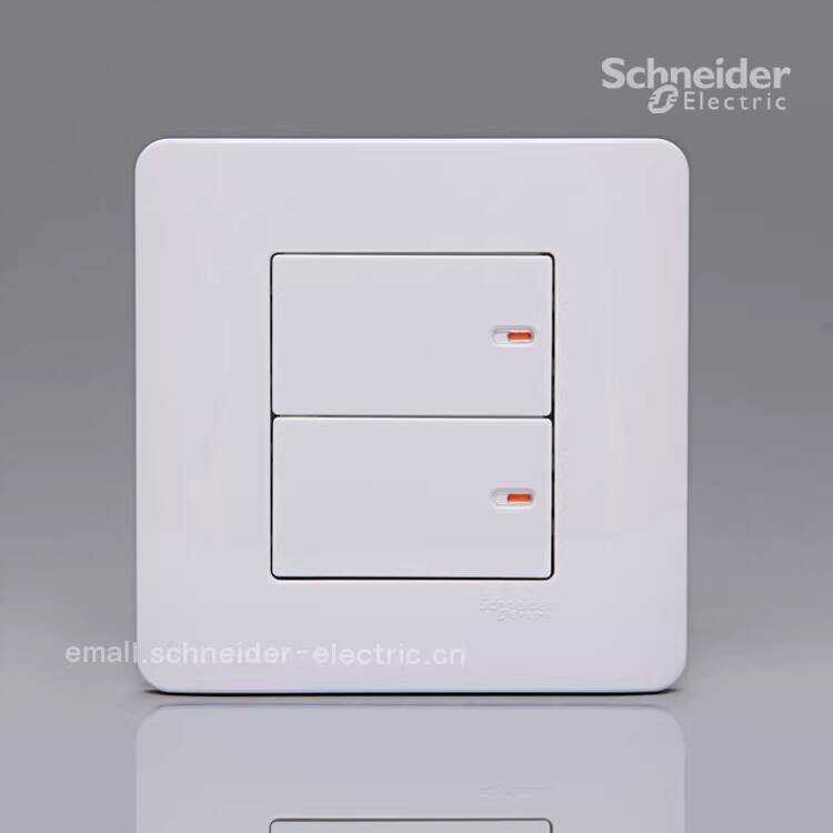 Schneider Qisheng ไฟแช็ก E8016A 250V สวิตช์ควบคุมเดี่ยวคู่คลาสสิกสีขาว