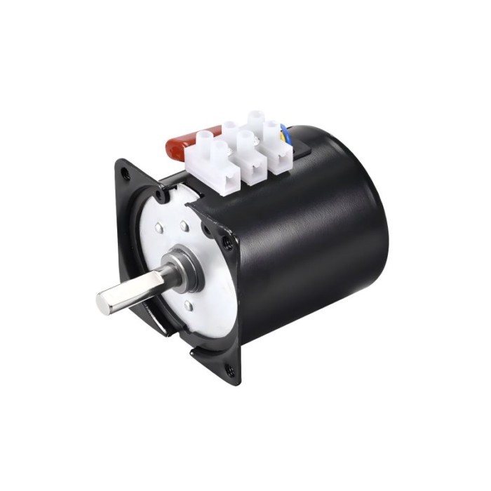 14W 60KTYZ 28W 68KTYZ AC220V  Permanent Magnet Synchronous Motor CW/CCW Metal Geared Slow Speed 1 T