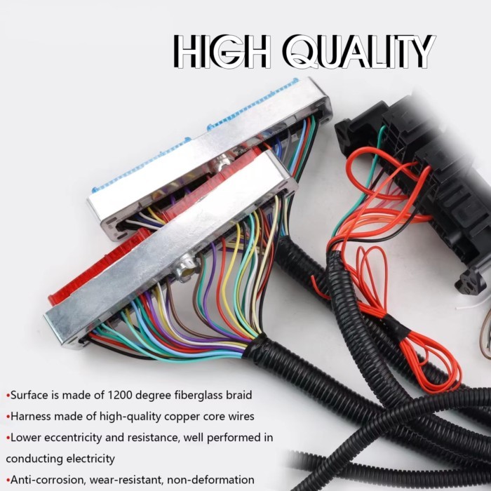 LS1 Engine Standalone Wiring Harness 4L60E DBC Compatible with GM DBC LS1 4.8 5.3 6.0 Engine 1997-2