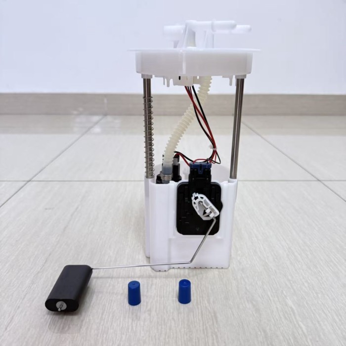 Ka Ka Fuel Pump Assembly Petrol Car Engine for Ford  ECOSPORT 2.0L 2S65-9H307-AB M2N159H307AA 05803