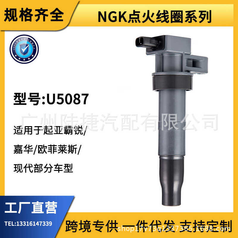 คอยล์จุดระเบิด NGK เหมาะสําหรับ Kiabarui/Jiahua/Orpheus/Hyundai U5087