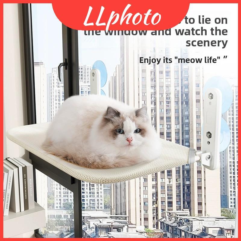 พร้อมเก้าอี้ดูดแมวสําหรับอาบแดดและพักผ่อน Scenario ในร่ม