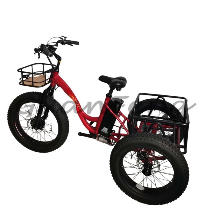 Mid drive e-bike motor kit 1000w electric bicycle 3 wheel adult tricycle electric bike