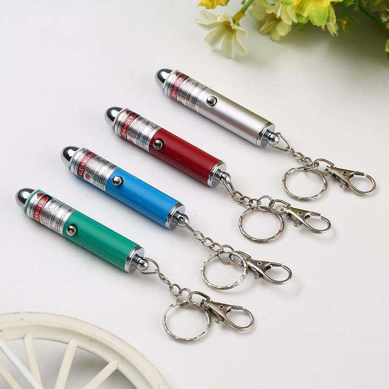 Pet Laser Pen Interactive Toy Mini Red Laser Pen พวงกุญแจ น้อยกว่า 1mw5mw