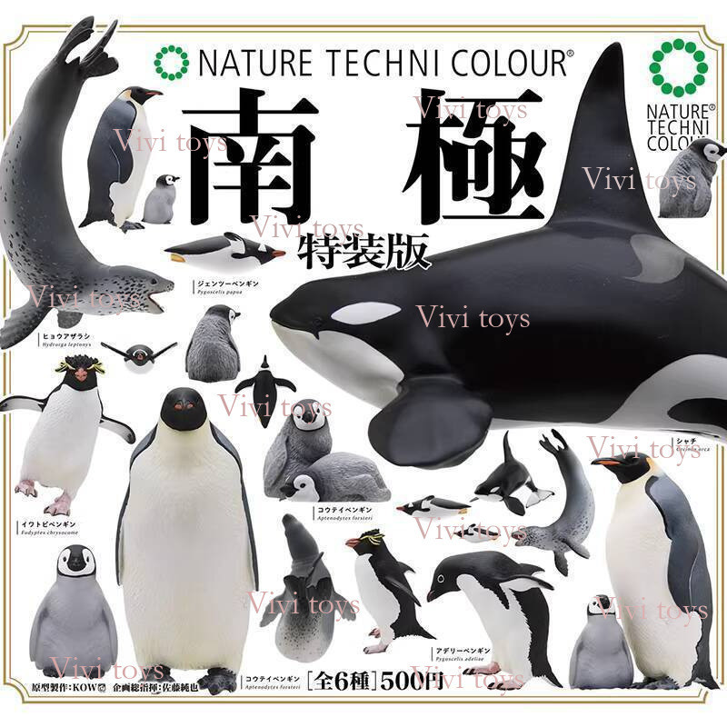{{vivi toys}} ของแท้ญี่ปุ่น KIMON Antarctic Continent Penguin Special Edition Capsule Toy Penguin Se