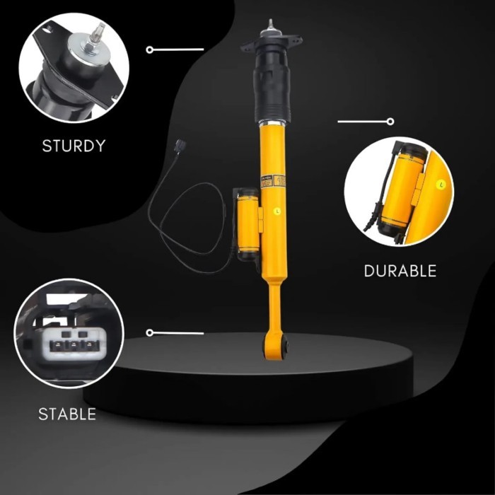 2pcs Rear Shock Struts Fit for Dodge Challenger Charger SRT SRT8 SXT R/T 2012-2023 68421907AA, 6823