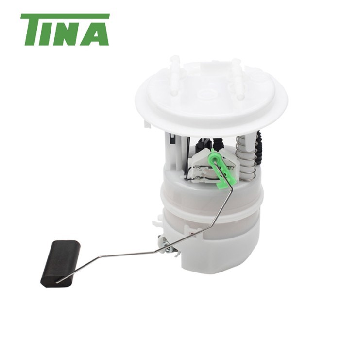 9674971380 9647083180 9673919380 705656410 Fuel Pump Assembly For Peugeot 206 308SW 308CC 308SW 406