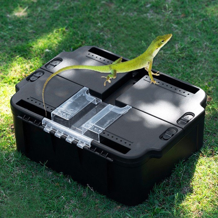 Large Outdoor Gecko Lizard Carries Cage Reptile Tarantula Anti Escape Hamster Carries Cage Small An