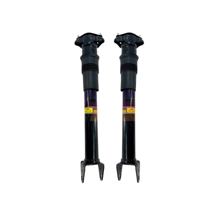 2x Rear Shock Absorber Struts Fit Mercedes R-Class W251 R320 R350 R500 R63 AMG