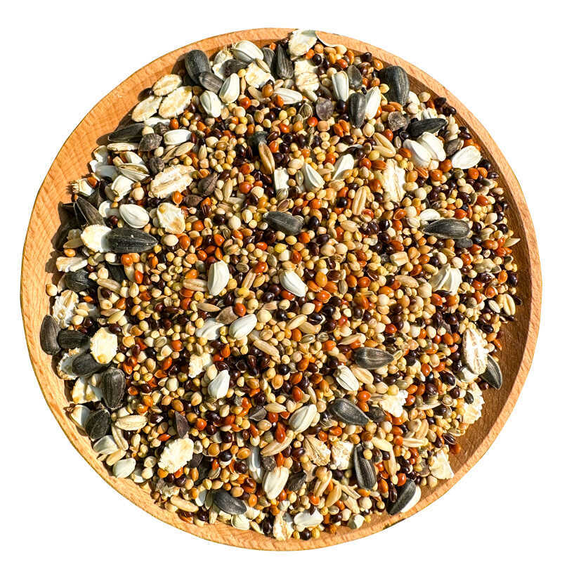 อาหารหนูแฮมสเตอร์ Staple Food Nutrition Golden Bear Food Small Hamster Food Feed Multigrain Hamster 