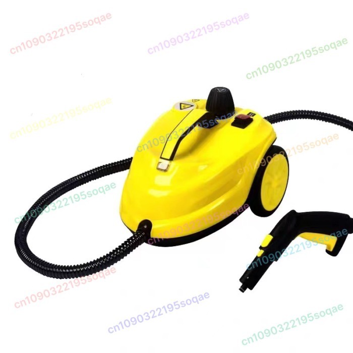110V 220V 2000W 2L Multi-function Steam Cleaner High Temperature Sterilization Disinfection Car Int