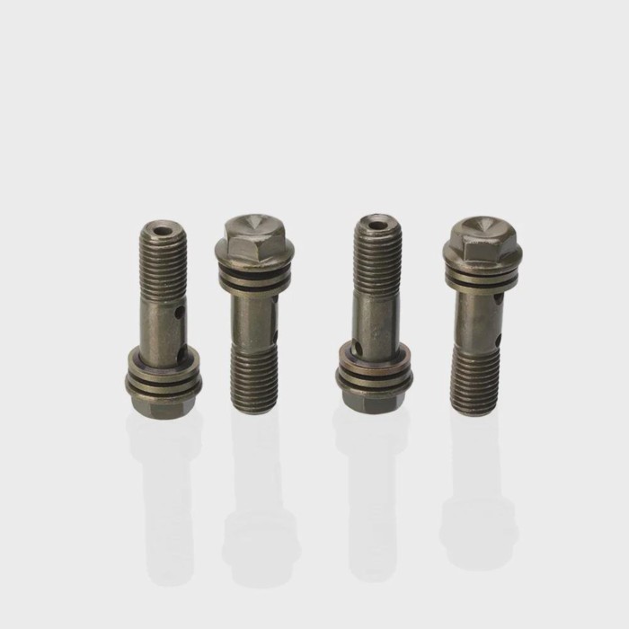 4 Pcs/lot Motorcycle Hydraulic Brake Hollow Screw M10 x 1.25 Double Banjo Bolt For hydraulic brake