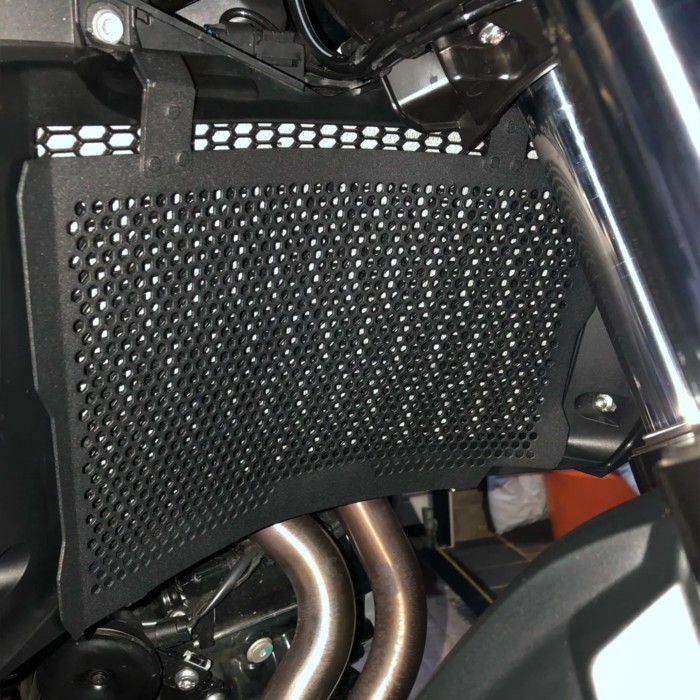 Radiator Guard For BMW GS800 F800GS F800 F 800 GS 800GS GS800 2024 2025 Motorcycle Radiator Grille