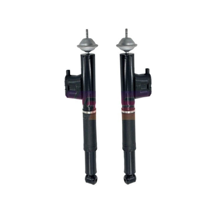 2x Front Hydraulic Shock Absorber Struts w/SLS For Mercedes W140 S320 S400 S600