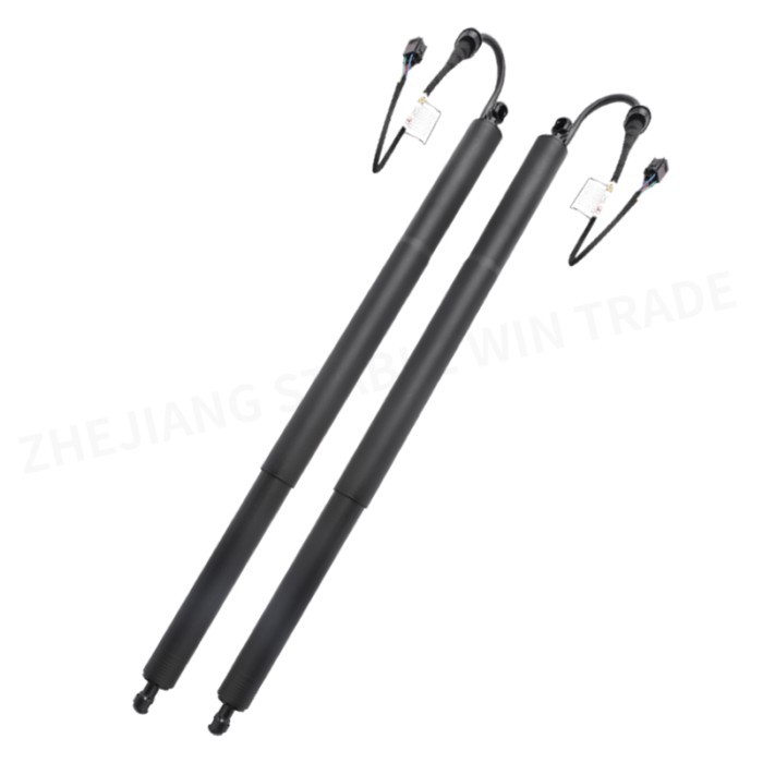 Pair Power Liftgate Electric Tailgate Hatch Lift Support Shock Strut For Audi Q8 V6 3.0L SQ8 RS V8