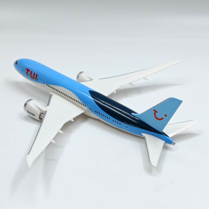 1: 250ตุย น่าเบื่อ787-8เย็บจําลองเครื่องบินรุ่นเครื่องบินคอลเลกชันแบบคงที่เครื่องบินสํานักงานตกแต่งออกจากรุ่นพิมพ์รุ่น ถูก จํากัด การแก้ไข รุ่นออกจากรถพิมพ ราคา ถูกที่สุด ดีลบีเคเค แกลเลอรีภาพที่ 5