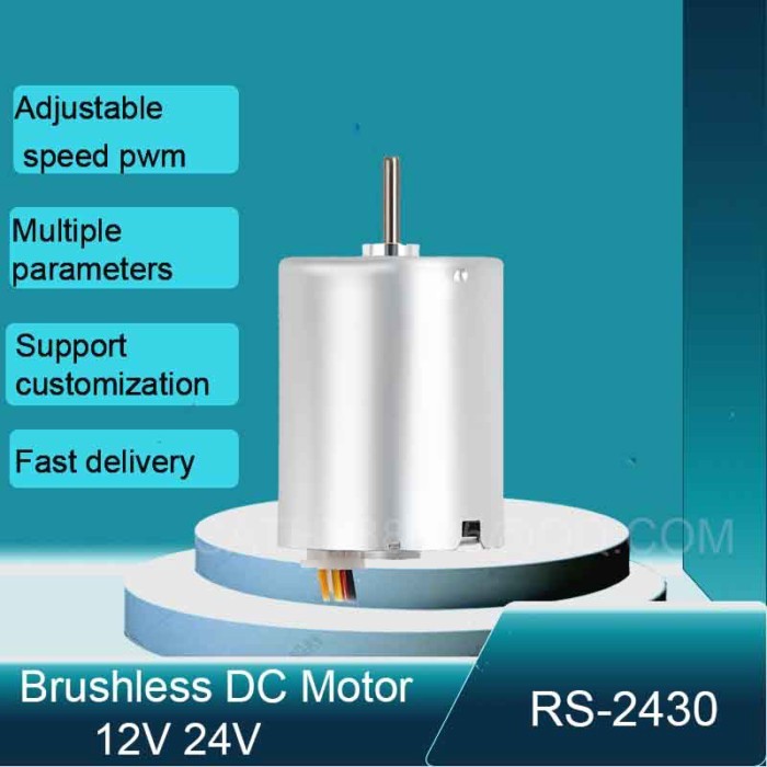 RS-2430 Brushless DC Motor 6000R High Speed 2mm Shaft 24V 12V Mini BLDC Motor RC Drone DIY Robot CN