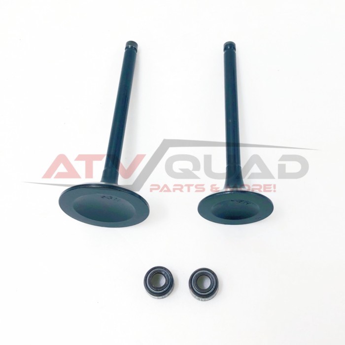 Intake Exhaust Valve Seal Kit for Coleman Trail Tamer 360 AT400 500 AT500 ATV 14711-002-0000 14721-
