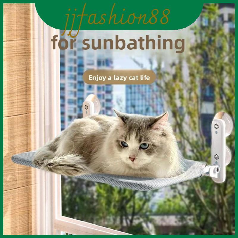 แมวพร้อมเก้าอี้ดูดสําหรับอาบแดดและพักผ่อน Scenario ในร่ม