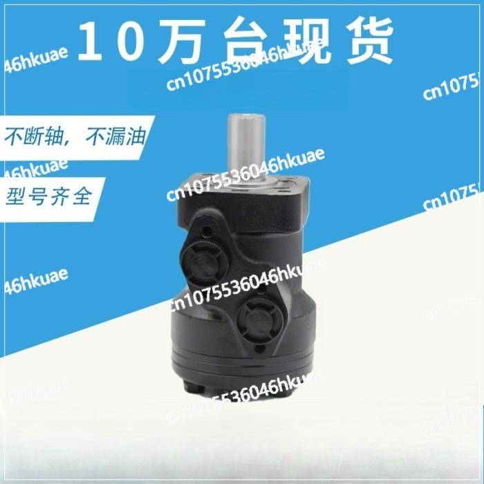 101-1012-009 Motor BM2-160 Cycloid OMR Motor