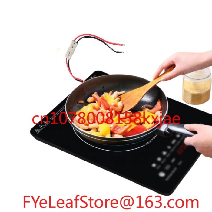 Solar Induction Cooker with Single Burner 24V/48V DC Touch Control Glass Housing Hotpot Feature Sol