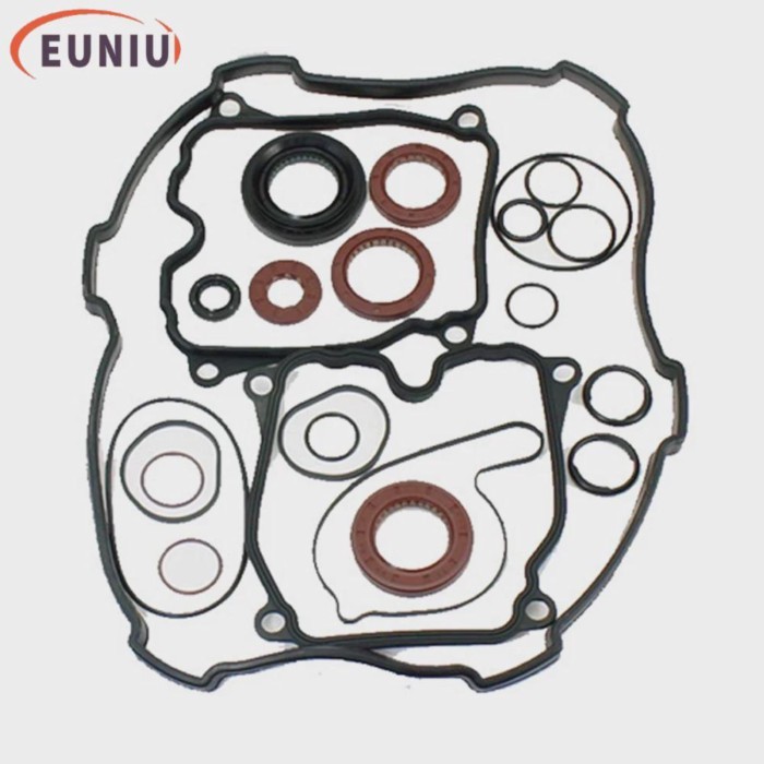 COMPLETE OIL SEAL &O-RING SET one whole set engine oil sealing for 800 ENGINE 0800-0000A2 Z8 X8 U8