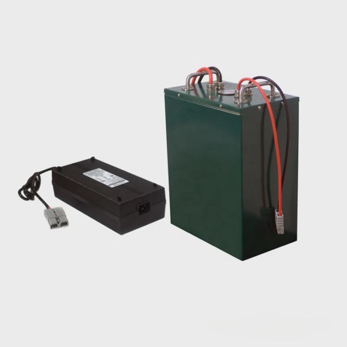 EB-4850 Expandable LiFePO4 electric boat battery  outboard  48V 50AH