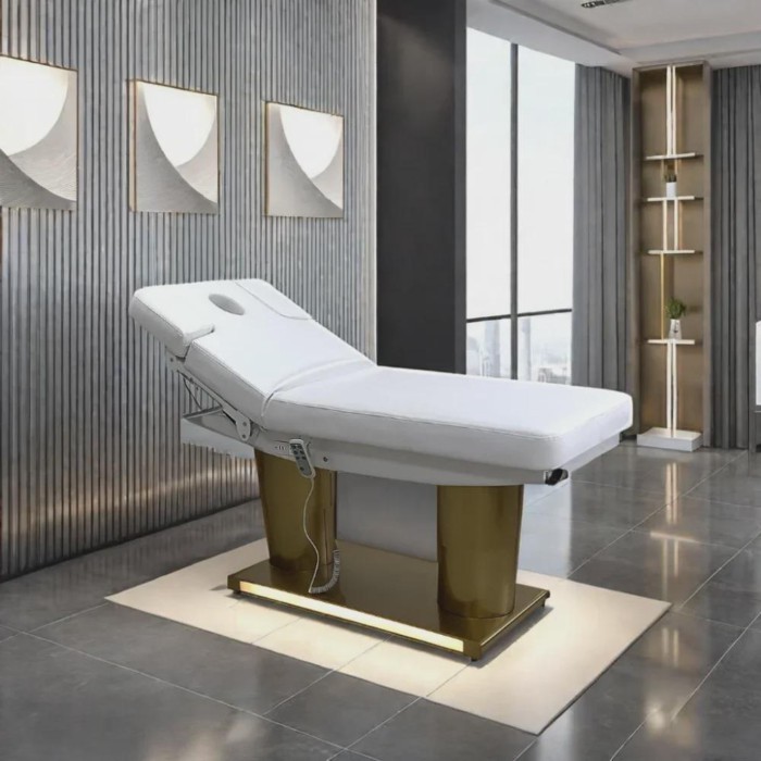 Fashion Foot Control 4 Motor Electric Spa Bed   Clinic Massage Treatment Bed Tables With Motors