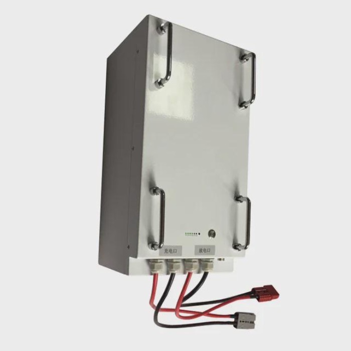 Portable lifepo4 48v 60AH lithium ion battery with  communication BMS